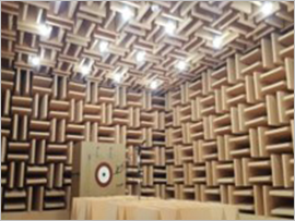 Anechoic Room